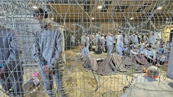 الرئيس نيوز