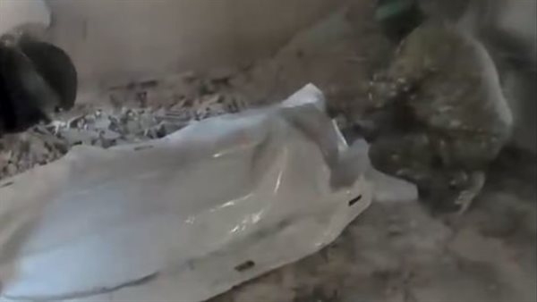 الرئيس نيوز