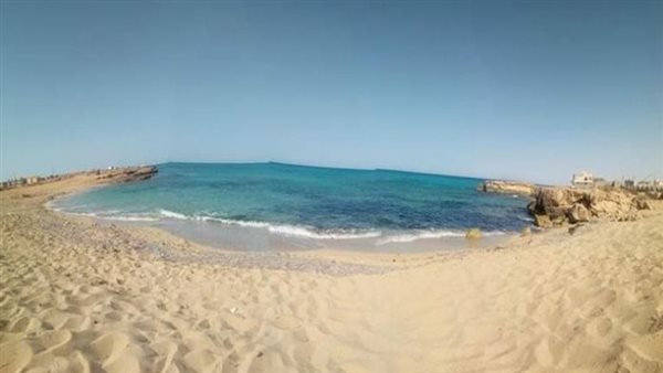 الرئيس نيوز