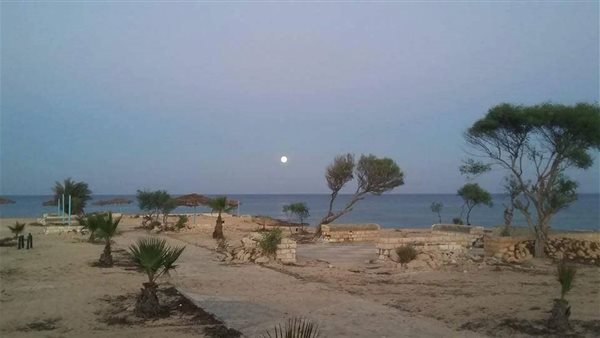 الرئيس نيوز