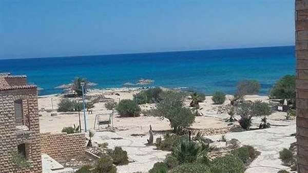 الرئيس نيوز