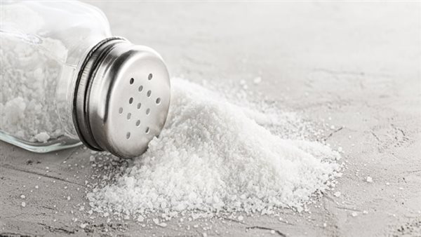 الرئيس نيوز