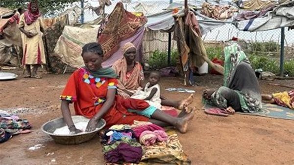 الرئيس نيوز