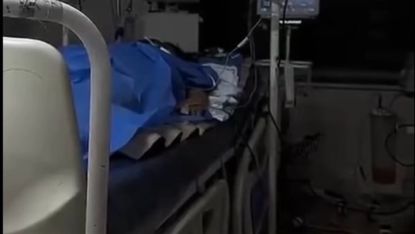 الرئيس نيوز