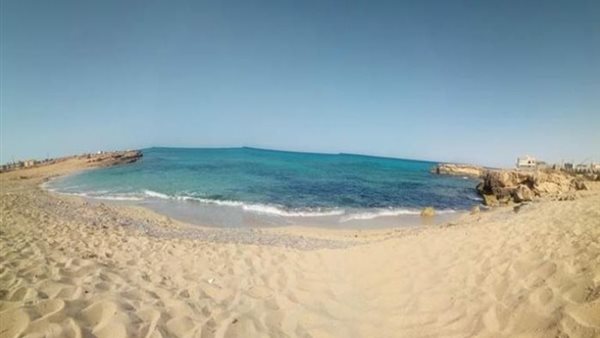 الرئيس نيوز