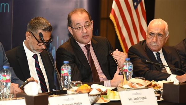 وزير المالية أحمد