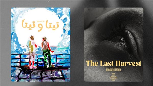 مهرجان القاهرة السينمائي