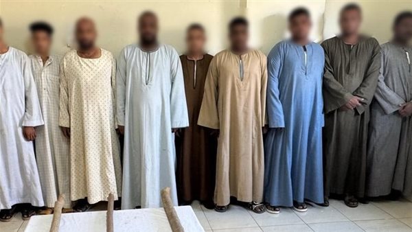 الرئيس نيوز