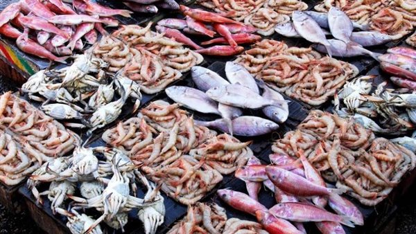 الرئيس نيوز