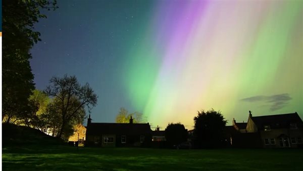 الرئيس نيوز