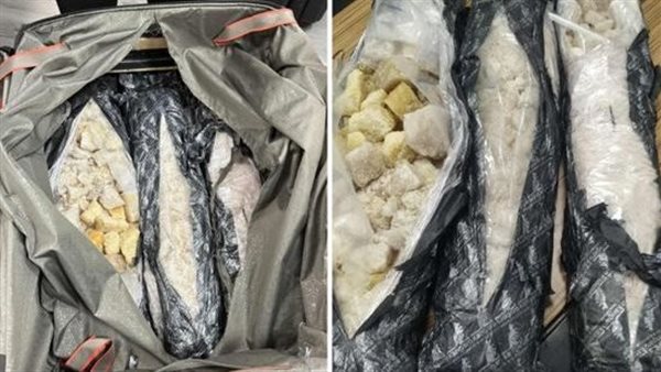 الرئيس نيوز