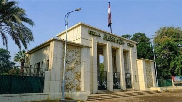 الرئيس نيوز