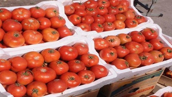 الرئيس نيوز