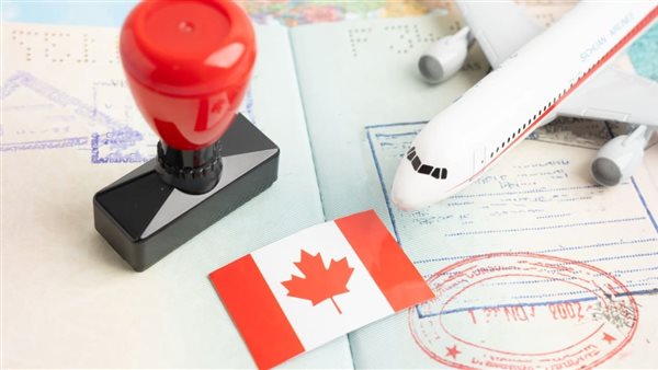 الرئيس نيوز