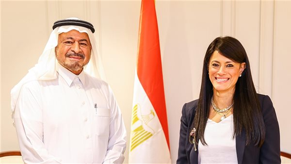 المشاط تلتقي رئيس