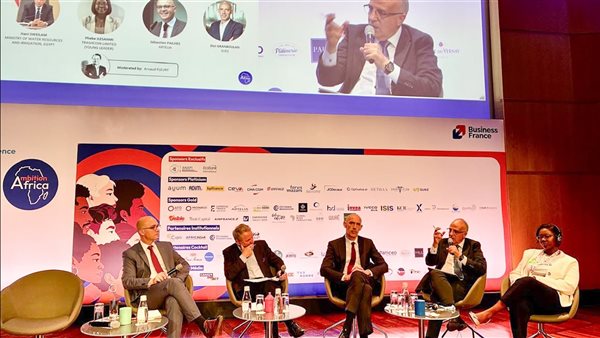 د. هانى سويلم، وزير