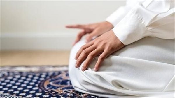 الرئيس نيوز