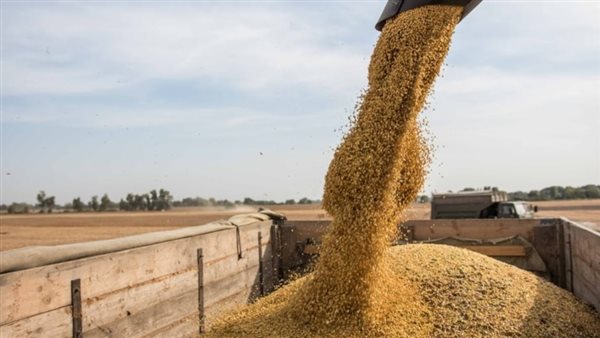 الرئيس نيوز