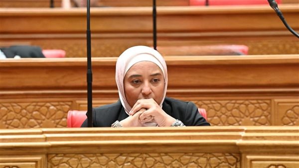 النائبة أميرة ابو