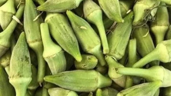 الرئيس نيوز