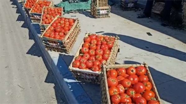 الرئيس نيوز