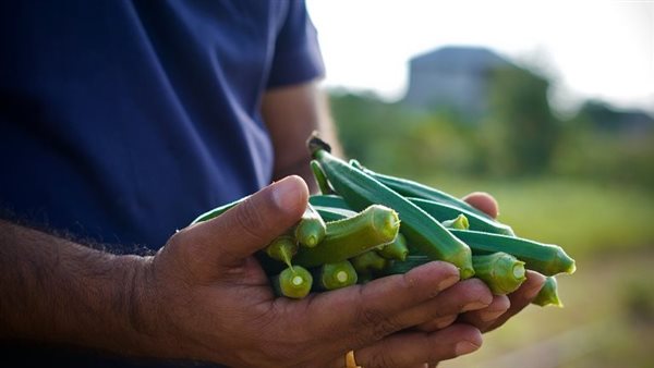 الرئيس نيوز