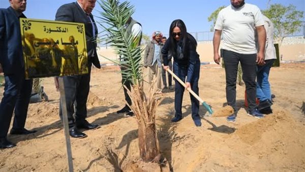 الرئيس نيوز