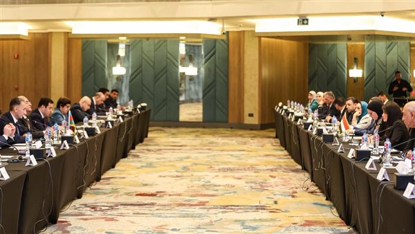 اللجنة المصرية الاذرية