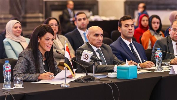 اللجنة المصرية الجزائرية