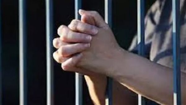 الرئيس نيوز