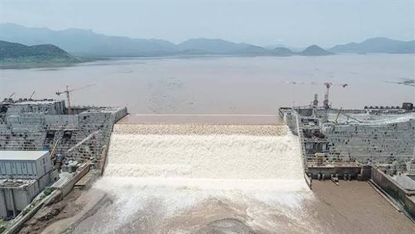 الرئيس نيوز