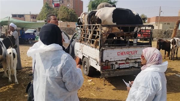 تحصين الماشية 