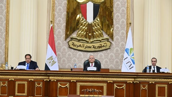 المستشار الدكتور