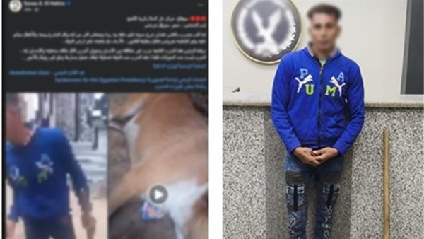 الرئيس نيوز