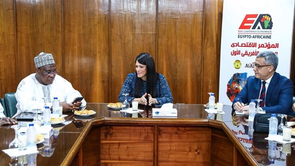 لقاء وزيرة التخطيط