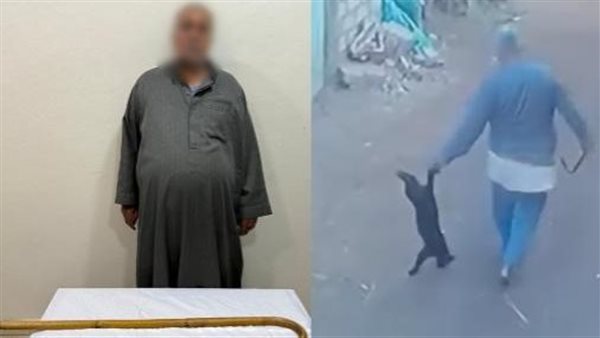 الرئيس نيوز