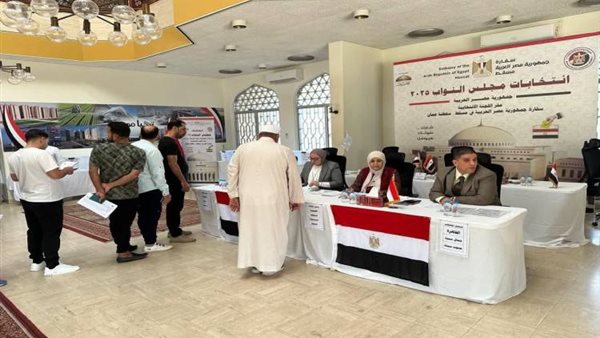 انتخابات المصريين