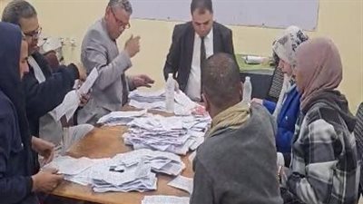 انتخابات مجلس النواب 2025    