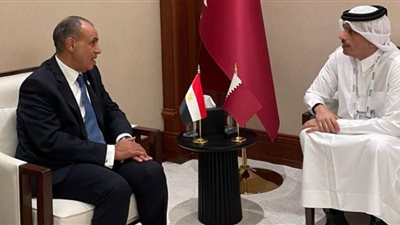 وزير الخارجية ونظيره القطري    