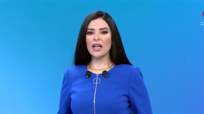 الإعلامية آمل الحناوي     