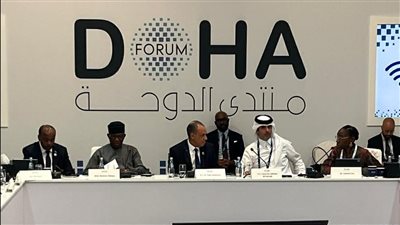 وزير الخارجية بدر عبد العاطي    