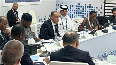 وزير الخارجية بدر عبد العاطي    