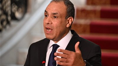 وزير الخارجية بدر عبد العاطي    