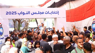 الانتخابات البرلمانية 2025    