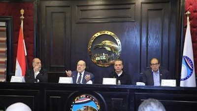 حزب مستقبل وطن    