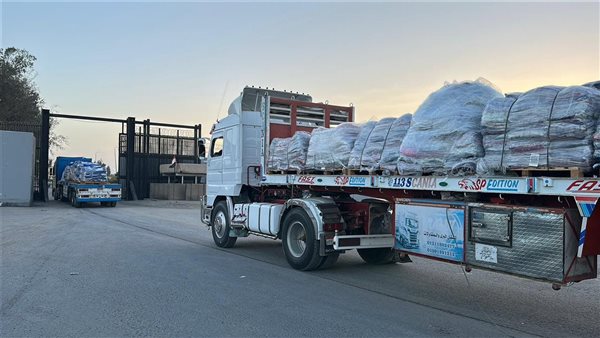 قافلة المساعدات المصرية