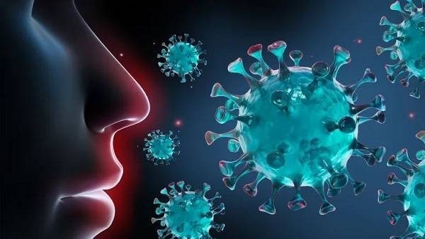 الرئيس نيوز