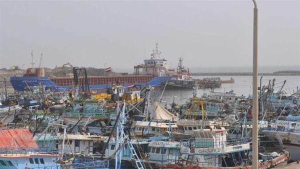 الرئيس نيوز