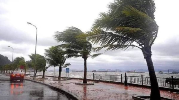 الرئيس نيوز