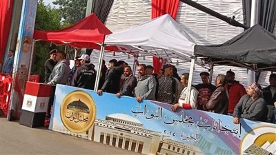 من أمام اللجنة     